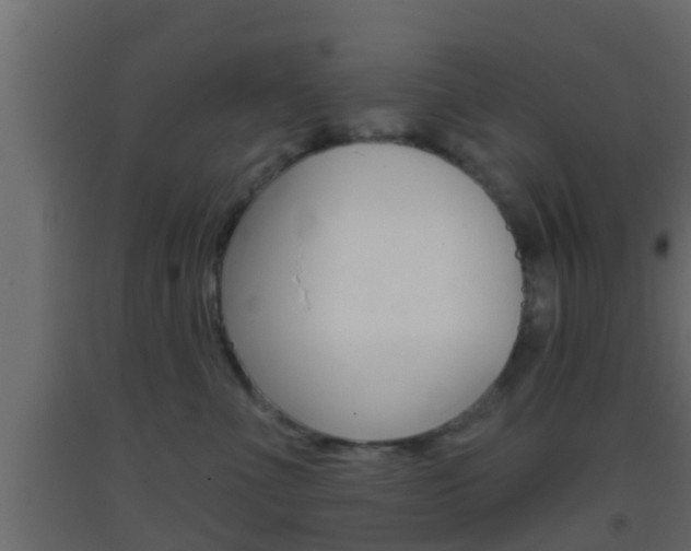 X0000093380523200710111350