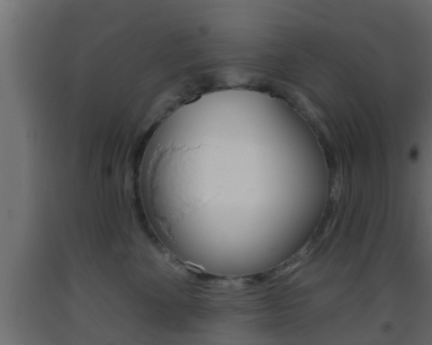 X0000093380524200710111350