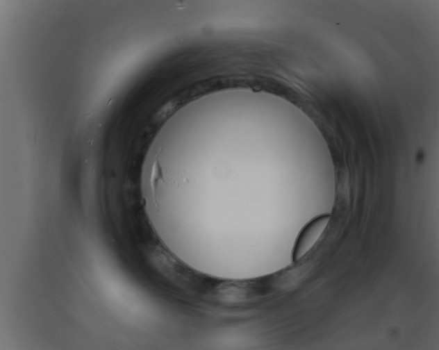 X0000093380526200710111350