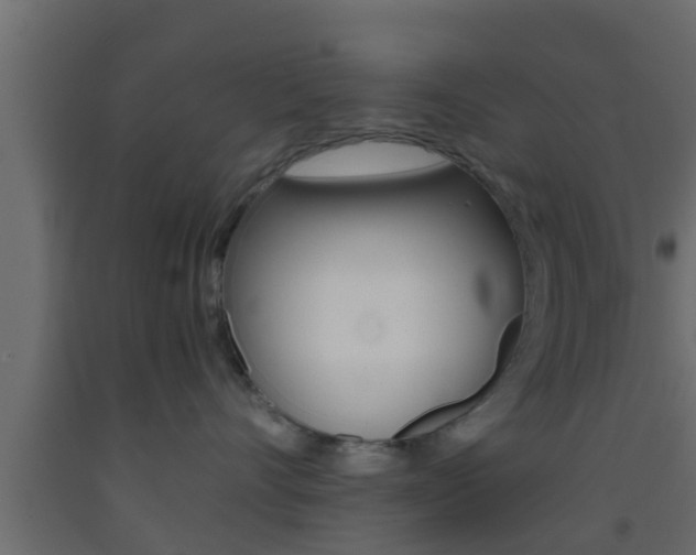 X0000093380528200710111350