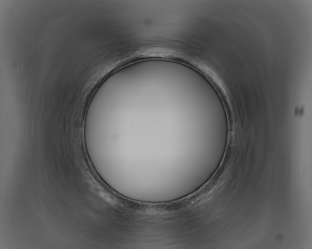 X0000093380529200710111349
