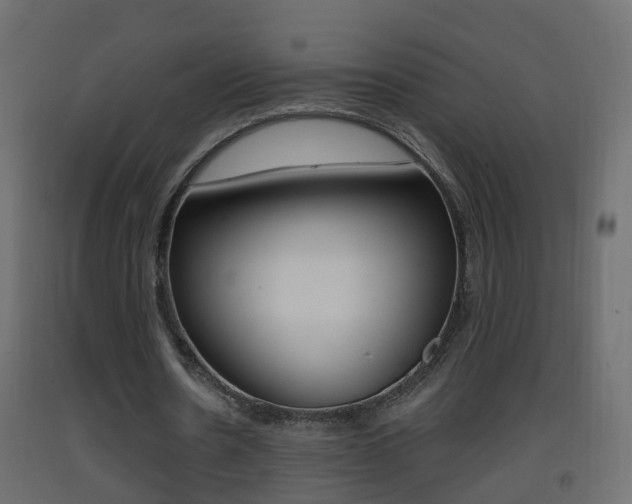 X0000093380530200710111349