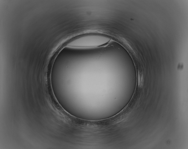X0000093380531200710111349
