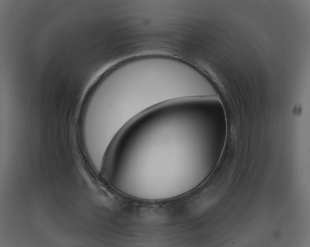 X0000093380532200710111349