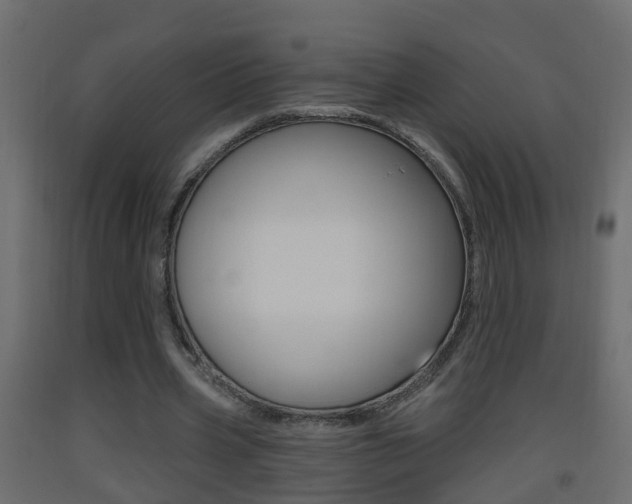 X0000093380533200710111349