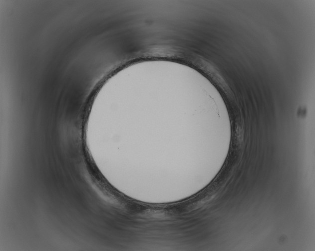 X0000093380534200710111349