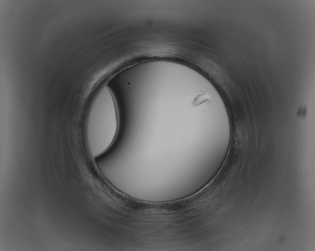 X0000093380535200710111349