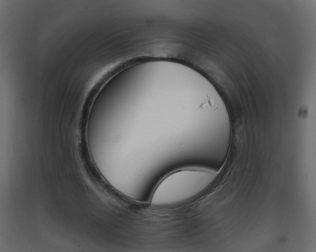 X0000093380536200710111349