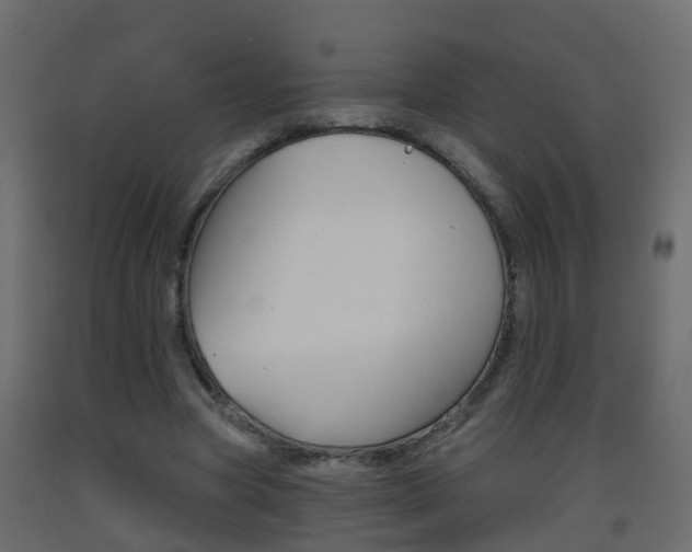 X0000093380537200710111349