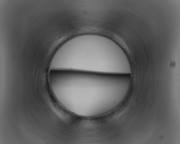 X0000093380538200710111349