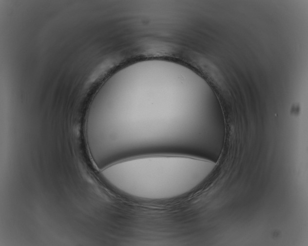 X0000093380539200710111349