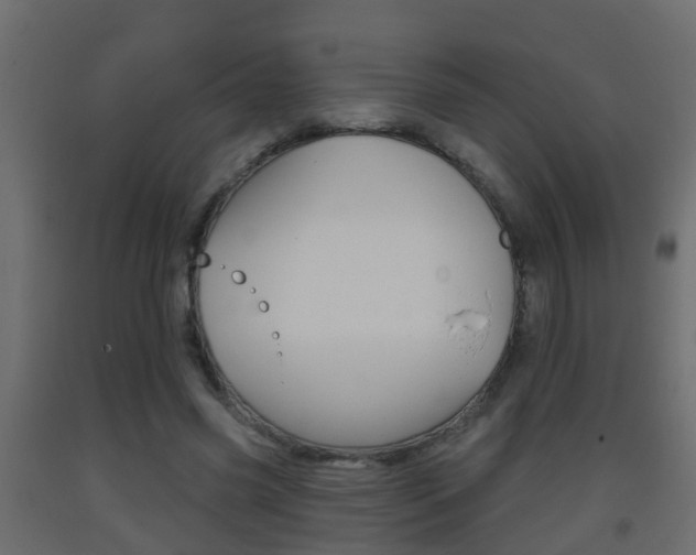 X0000093380541200710111349
