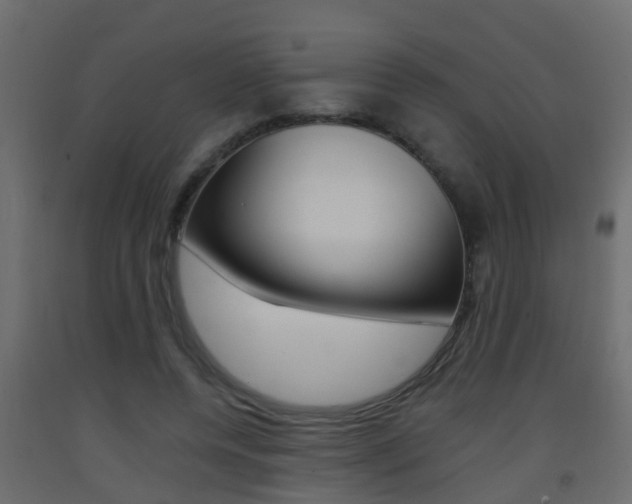 X0000093380544200710111349