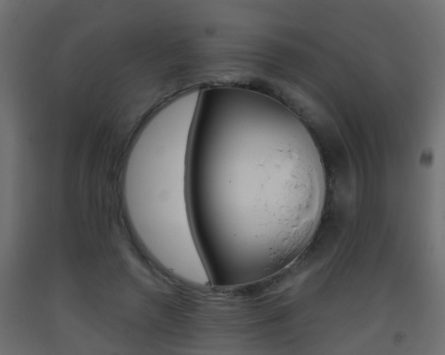 X0000093380546200710111349