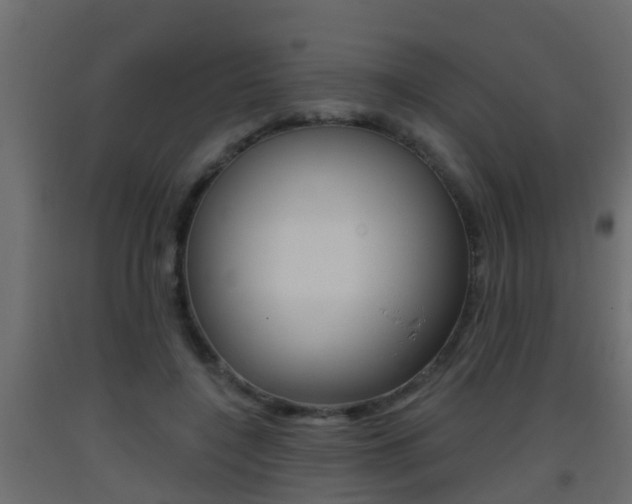 X0000093380548200710111349