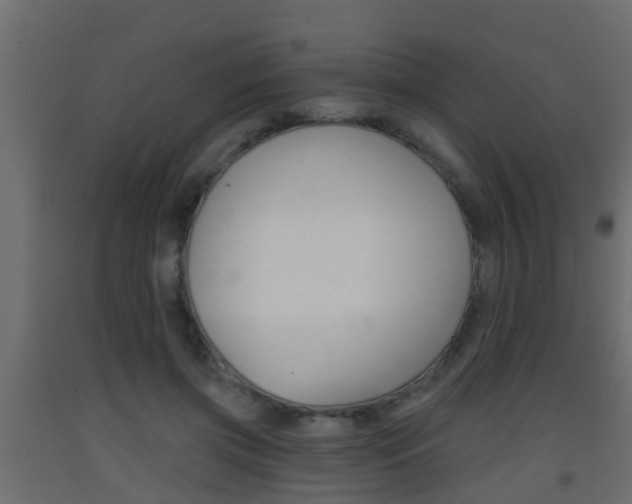 X0000093380549200710111349