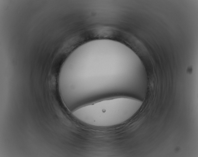 X0000093380551200710111349