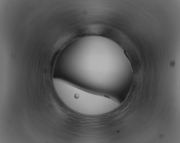 X0000093380552200710111349