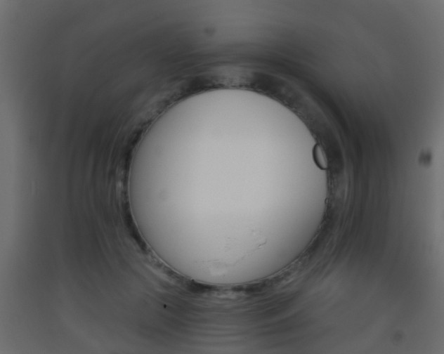 X0000093380553200710111349