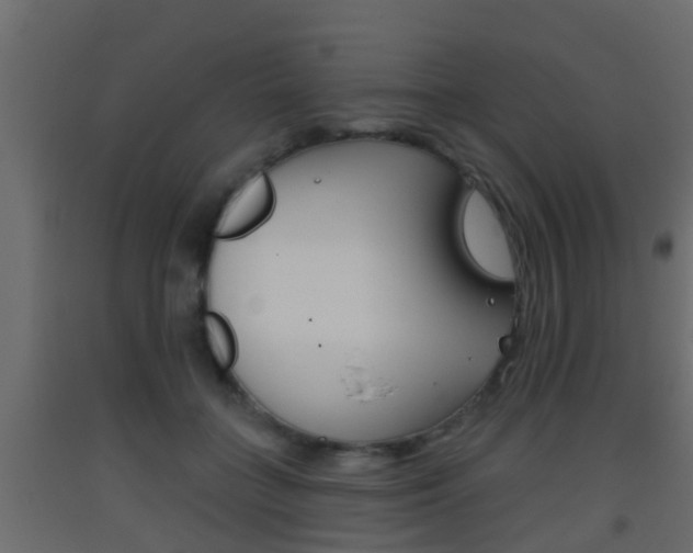 X0000093380555200710111349