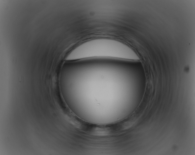 X0000093380556200710111349