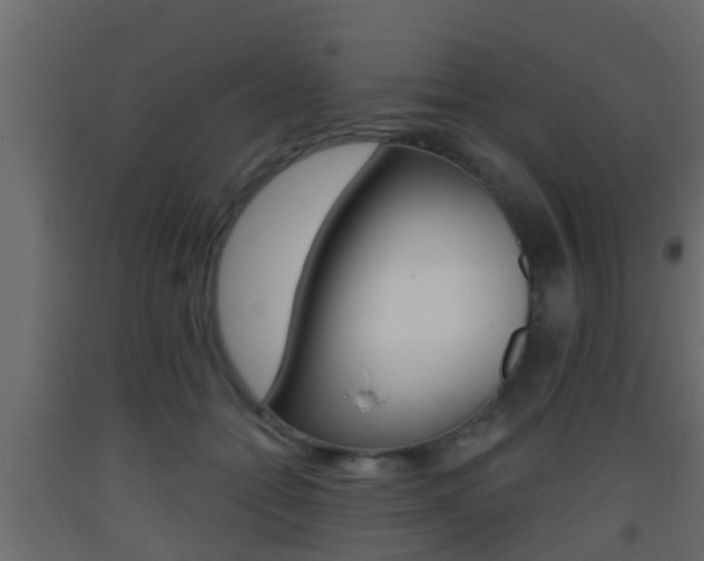 X0000093380558200710111349