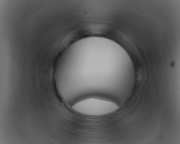 X0000093380559200710111349