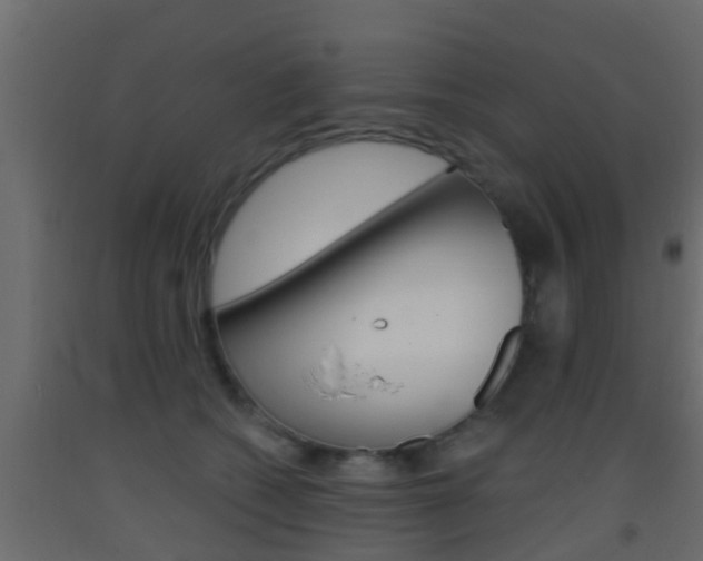 X0000093380562200710111349