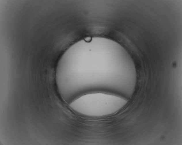 X0000093380563200710111349
