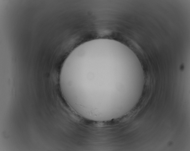 X0000093380565200710111349