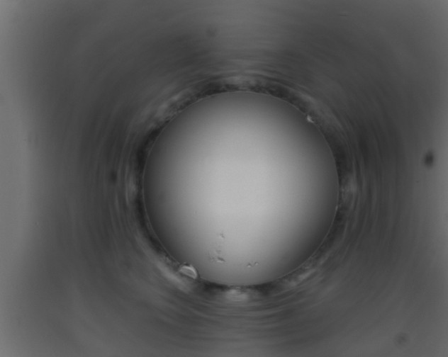 X0000093380566200710111349
