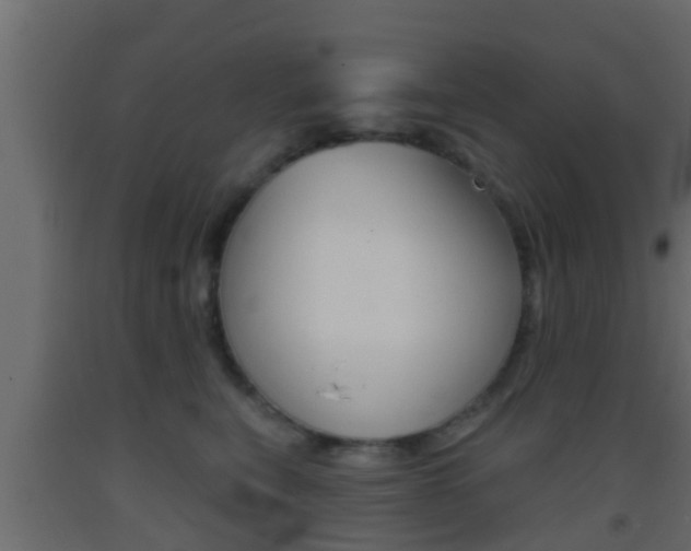 X0000093380567200710111349