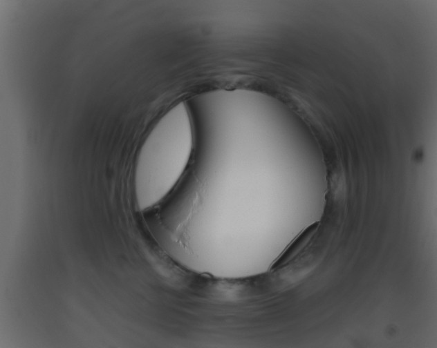 X0000093380570200710111350