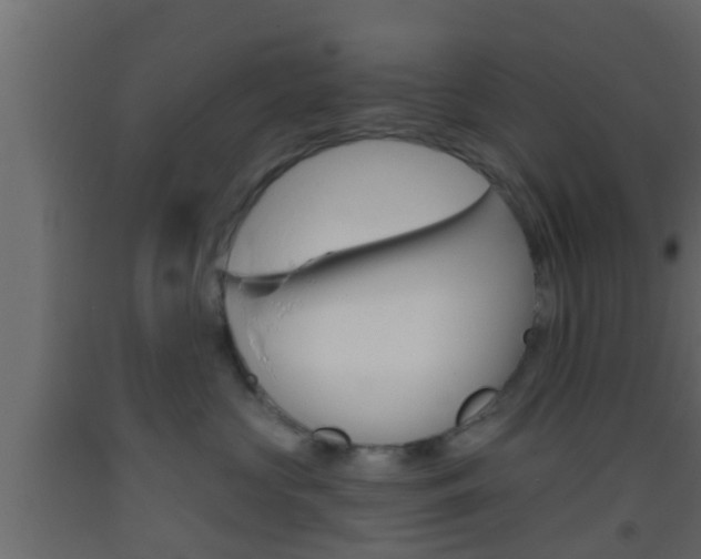 X0000093380573200710111350
