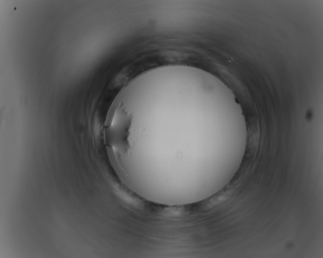 X0000093380574200710111350