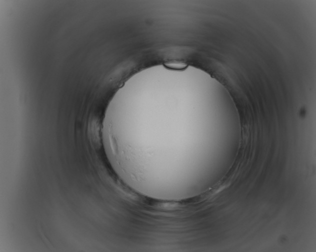 X0000093380575200710111350