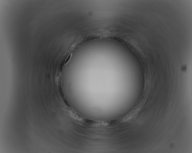 X0000093380576200710111350
