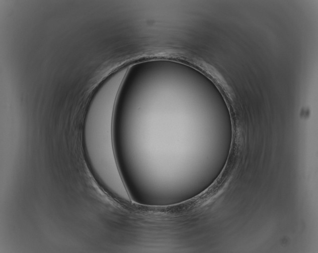 X0000093380577200710111349