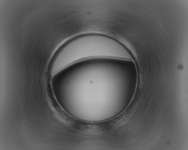 X0000093380580200710111349