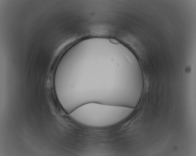 X0000093380583200710111349