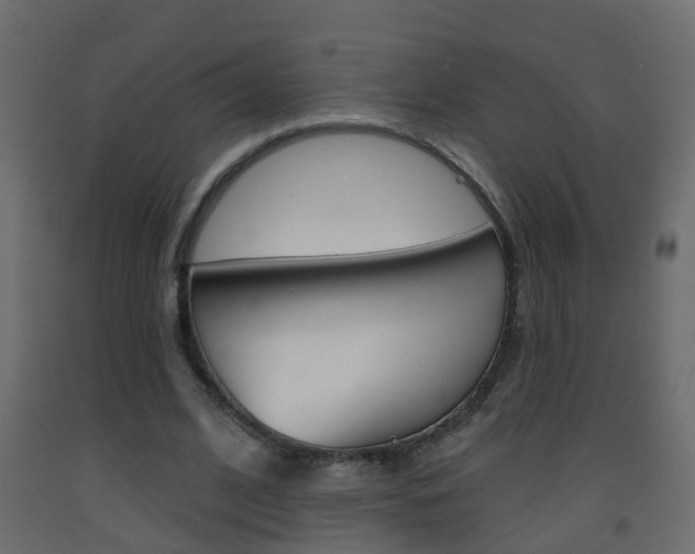 X0000093380584200710111349