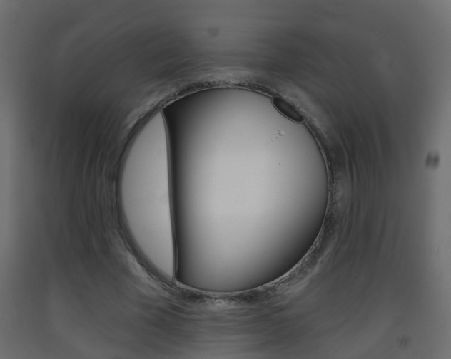 X0000093380585200710111349
