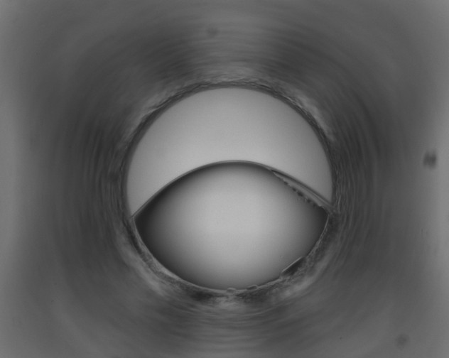 X0000093380589200710111349