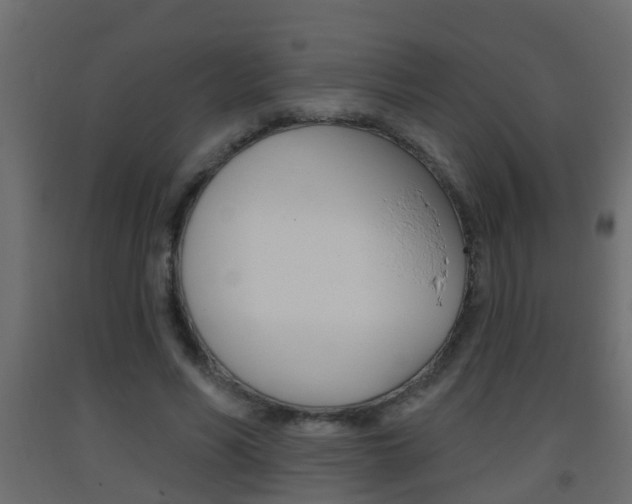 X0000093380590200710111349