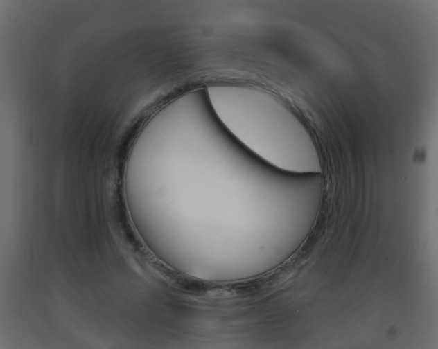 X0000093380591200710111349