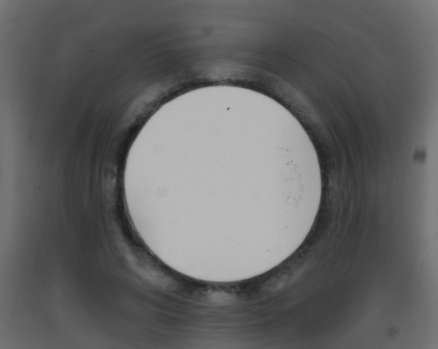 X0000093380592200710111349