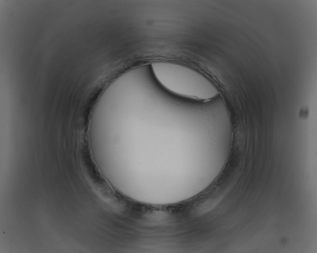X0000093380594200710111349