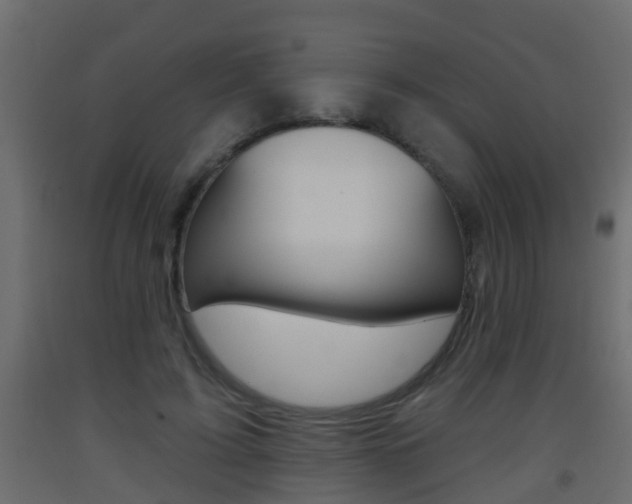 X0000093380595200710111349