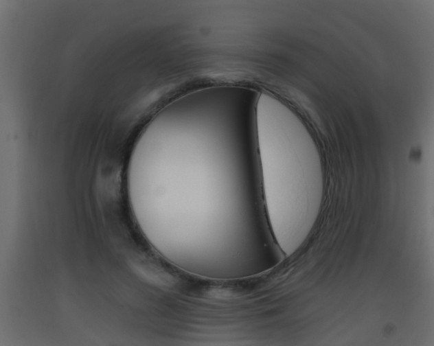 X0000093380596200710111349