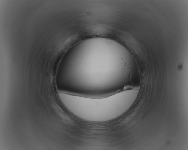 X0000093380597200710111349